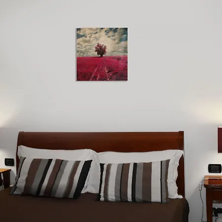 酒店 特米尼酒店 2*