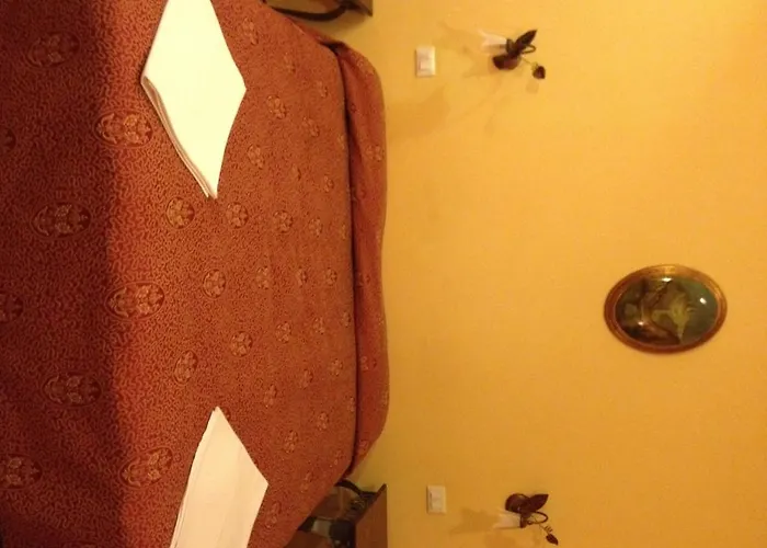 特米尼酒店 酒店